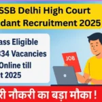 DSSSB Delhi High Court Attendant Recruitment 2025
